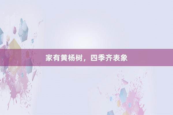 家有黄杨树，四季齐表象